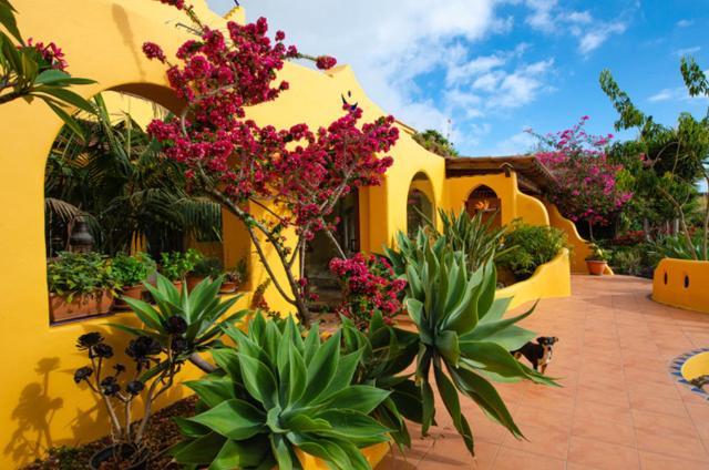 Luna - Finca Manana Los Llanos De Aridane Exterior photo